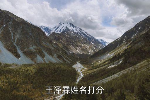 王澤霖，王澤霖姓名打分