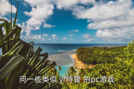 小小特警，問(wèn)一些類(lèi)似 vr特警 的pc游戲