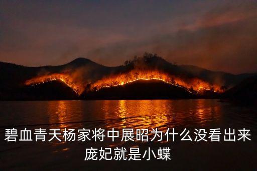 龐雄，金大班中金兆麗是在哪一集與她的生父母相認(rèn)