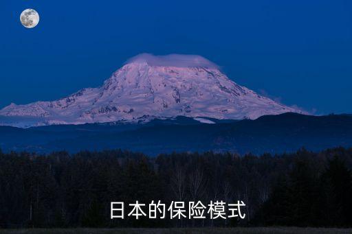 日本的保險(xiǎn)模式
