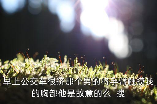 公交車上摸胸，早上公交車很擠那個男的將手臂觸摸我的胸部他是故意的么  搜