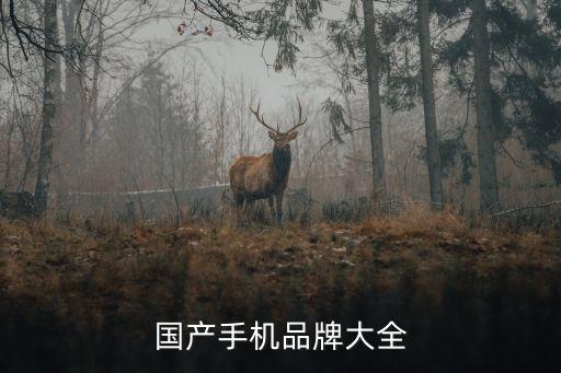 國(guó)產(chǎn)手機(jī)品牌大全