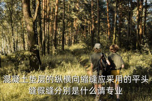 混凝土墊層的縱橫向縮縫應(yīng)采用的平頭縫假縫分別是什么請(qǐng)專(zhuān)業(yè)