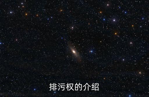 排污權(quán)的介紹