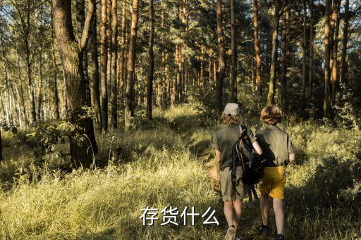 存貨什么