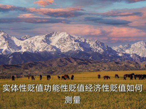 實體性貶值功能性貶值經(jīng)濟性貶值如何測量