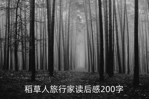 稻草人旅行家讀后感200字