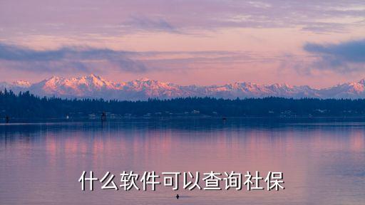 個(gè)人社保APP，認(rèn)證社保的軟件叫什么