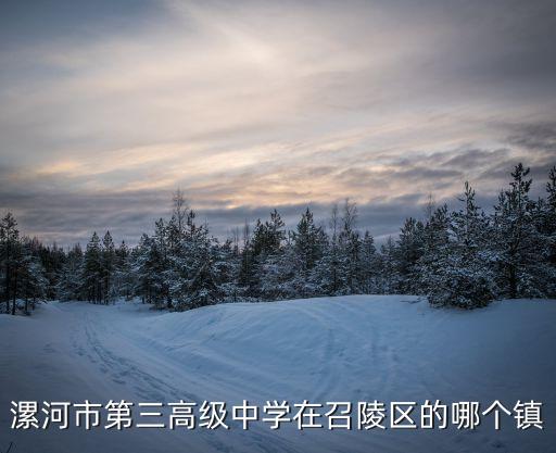 漯河市第三高級(jí)中學(xué)在召陵區(qū)的哪個(gè)鎮(zhèn)