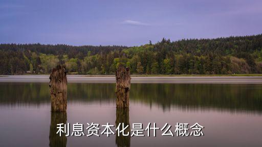 利息資本化是什么概念