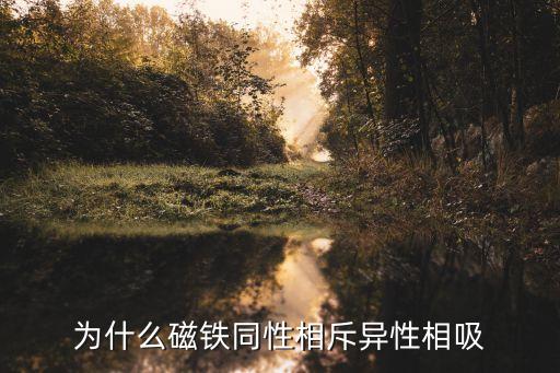 為什么磁鐵同性相斥異性相吸
