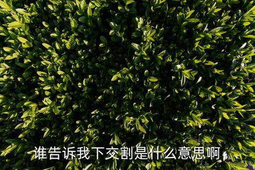 交割是什么意思，誰告訴我下交割是什么意思啊