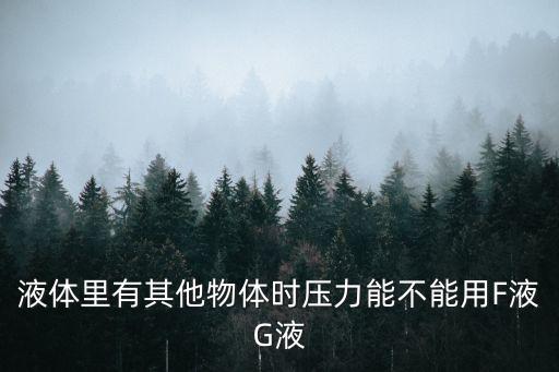 液體里有其他物體時(shí)壓力能不能用F液G液