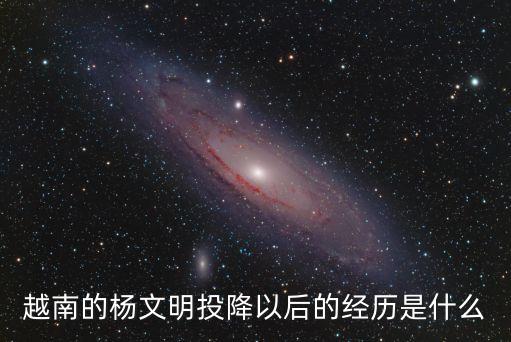 越南的楊文明投降以后的經(jīng)歷是什么