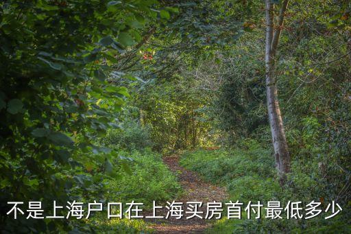 不是上海戶口在上海買房首付最低多少