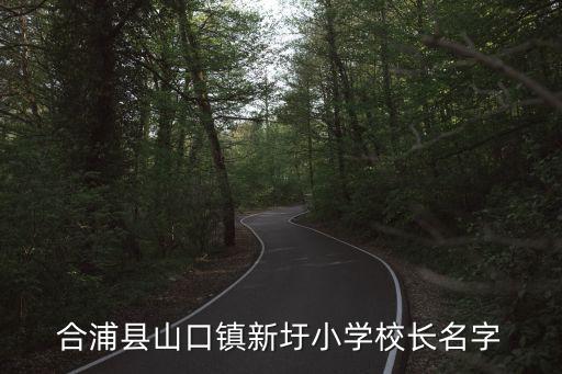 張德仁，我想知道深圳市南山醫(yī)院的法定代表人是誰