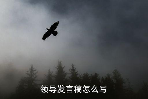 領(lǐng)導(dǎo)發(fā)言稿怎么寫
