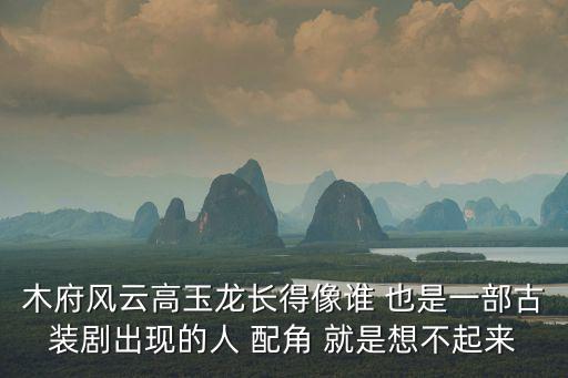 高玉龍，木府風(fēng)云高玉龍長(zhǎng)得像誰(shuí) 也是一部古裝劇出現(xiàn)的人 配角 就是想不起來(lái)