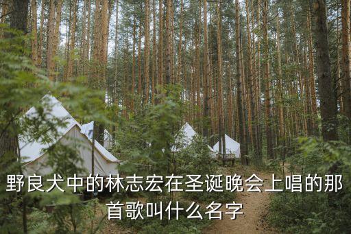 林志宏，野良犬中的林志宏在圣誕晚會上唱的那首歌叫什么名字