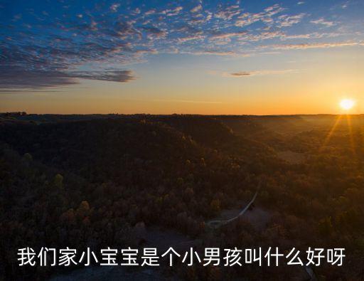 我們家小寶寶是個(gè)小男孩叫什么好呀