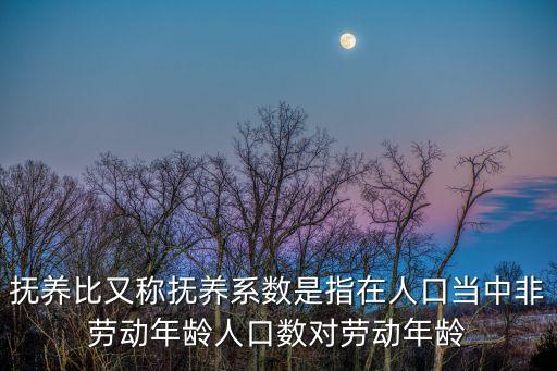 人口撫養(yǎng)比，撫養(yǎng)比又稱撫養(yǎng)系數(shù)是指在人口當(dāng)中非勞動年齡人口數(shù)對勞動年齡