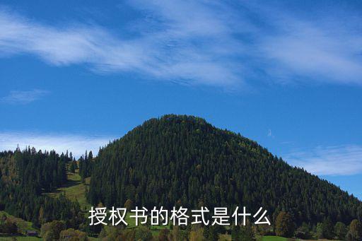 授權(quán)書的格式是什么