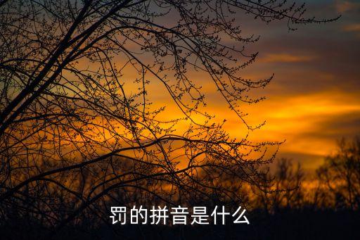 罰H，罰的拼音是什么