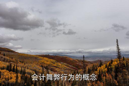 會計舞弊行為的概念