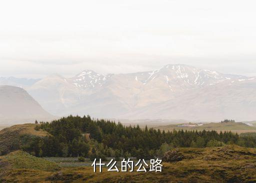 什么道路，中國(guó)現(xiàn)在是走什么道路