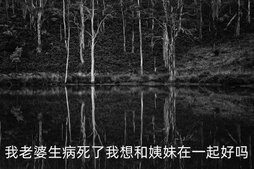 我把兩姨妹起雙飛，出雙入對雙飛影青梅竹馬夢未醒此陰彼陽唯無路一人漂泊獨無情