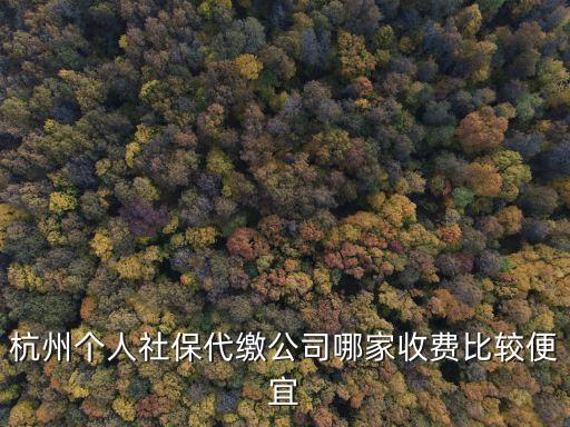 杭州社保代繳，我剛剛從一家單位離職但是社保不想斷掉想問(wèn)下杭州地區(qū)有沒(méi)有