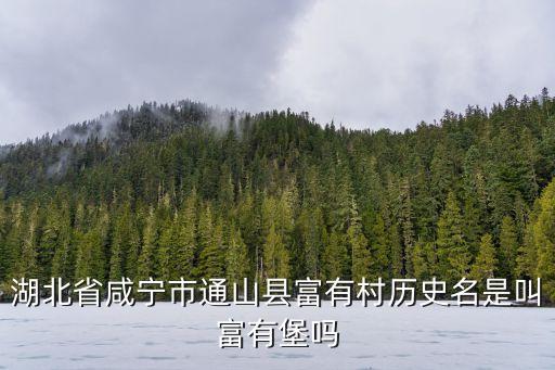 富有村，湖北省咸寧市通山縣富有村歷史名是叫富有堡嗎