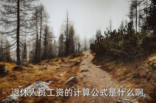 退休工資計算公式，急求正常退休工資計算公式