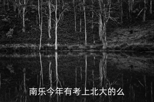 南樂今年有考上北大的么