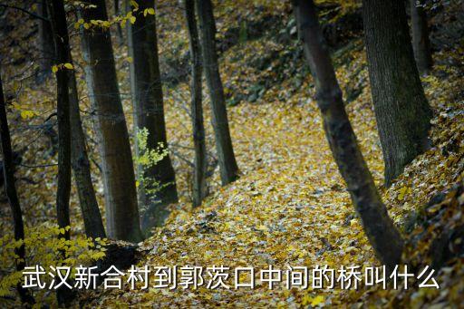知音橋，武漢的知音橋在318國道上嗎