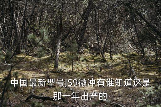 js9，中國最新型號JS9微沖有誰知道這是那一年出產(chǎn)的