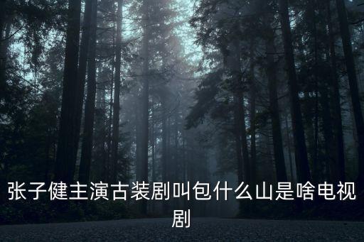 張子健主演古裝劇叫包什么山是啥電視劇