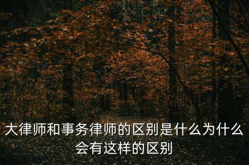 大律師和事務(wù)律師的區(qū)別是什么為什么會(huì)有這樣的區(qū)別