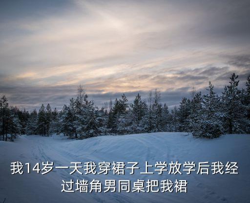 我14歲一天我穿裙子上學放學后我經(jīng)過墻角男同桌把我裙