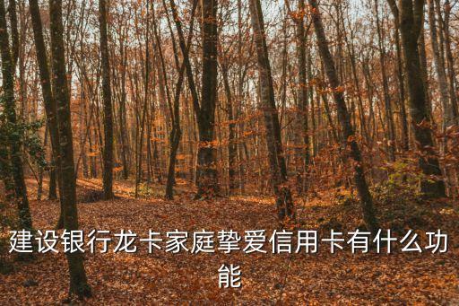 龍卡家庭摯愛卡，建設銀行龍卡家庭摯愛信用卡額度是多少
