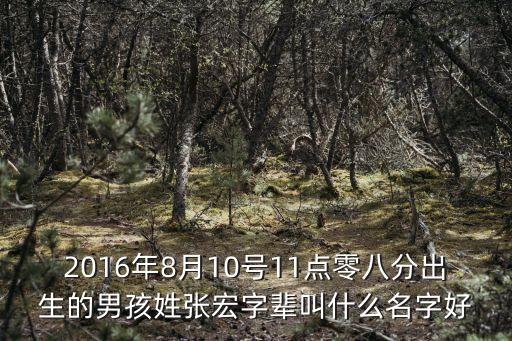 2016年8月10號(hào)11點(diǎn)零八分出生的男孩姓張宏字輩叫什么名字好