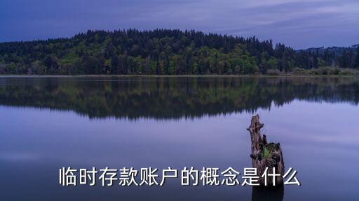 臨時存款賬戶，臨時存款賬戶的概念是什么