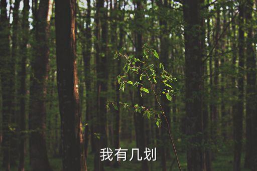 我有幾畫(huà)，我有幾劃