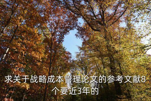 求關(guān)于戰(zhàn)略成本管理論文的參考文獻(xiàn)8個(gè)要近3年的