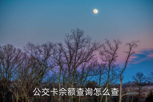 查詢(xún)公交卡余額，公交卡佘額查詢(xún)?cè)趺床?/></a></span><span id=