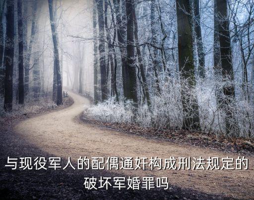 與現(xiàn)役軍人的配偶通奸構(gòu)成刑法規(guī)定的破壞軍婚罪嗎