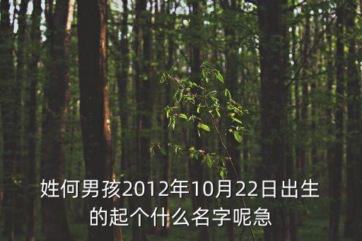 姓何男孩2012年10月22日出生的起個什么名字呢急