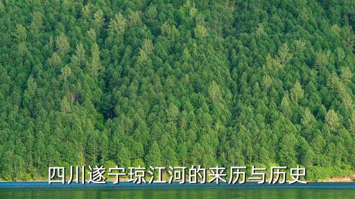 廉江河，廉江大西面河叫什么