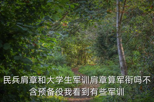 民兵肩章和大學生軍訓肩章算軍銜嗎不含預備役我看到有些軍訓