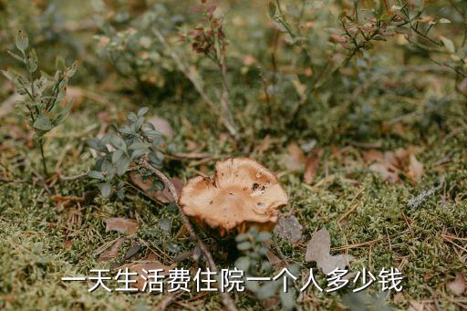 住院一天要多少錢(qián)，天津武警住院費(fèi)一天多少錢(qián)